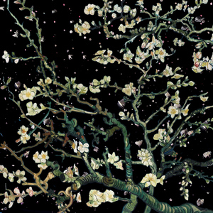 日本高中少女性视频
