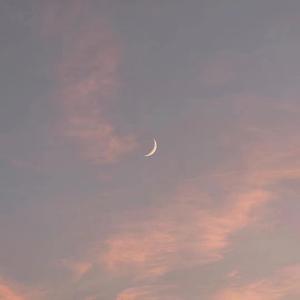 日本高中少女性视频
