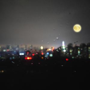 日本高中少女性视频
